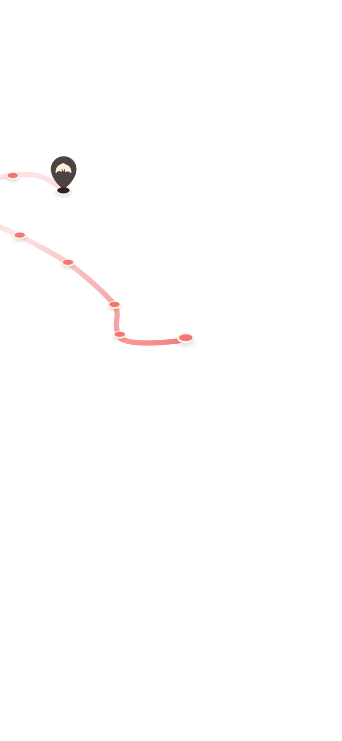 tracking path on world map