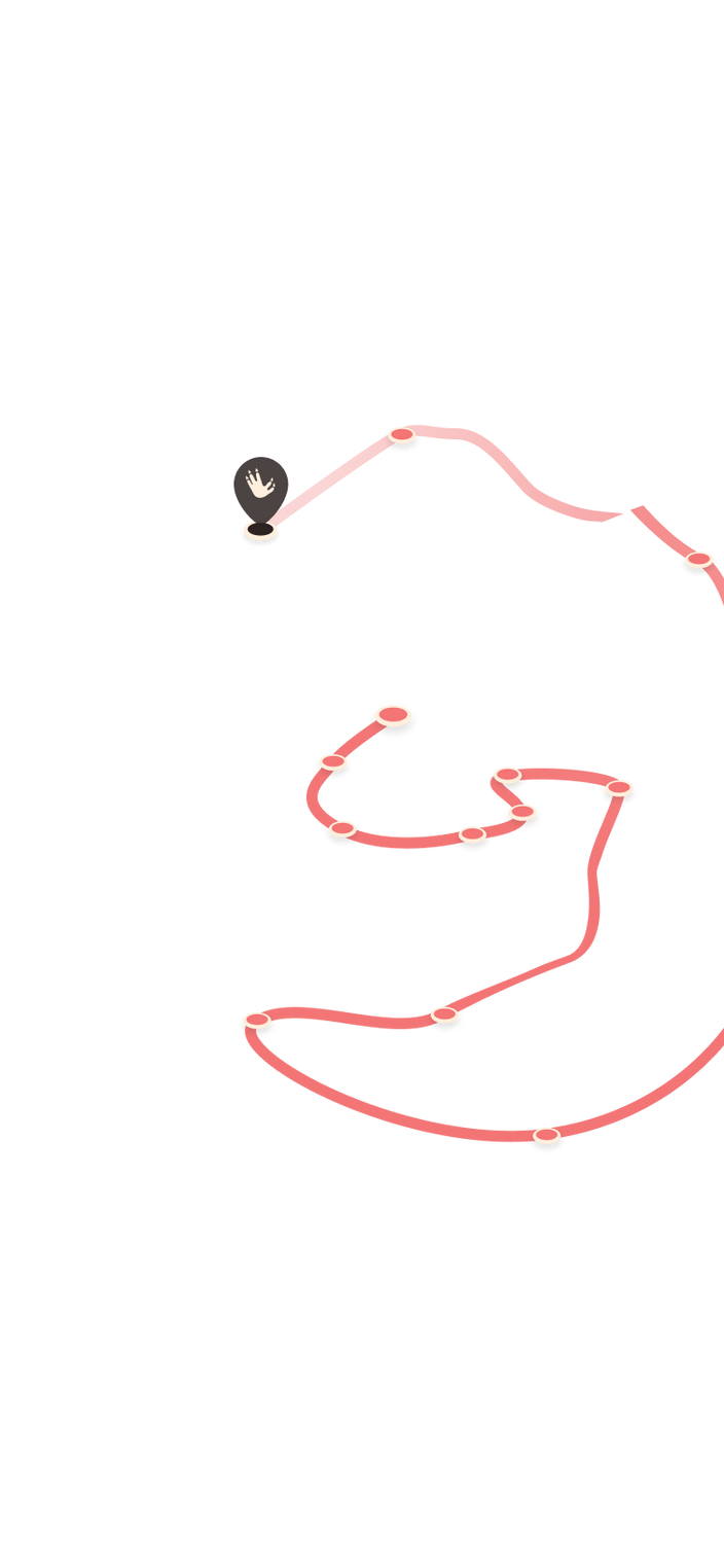 tracking path on world map