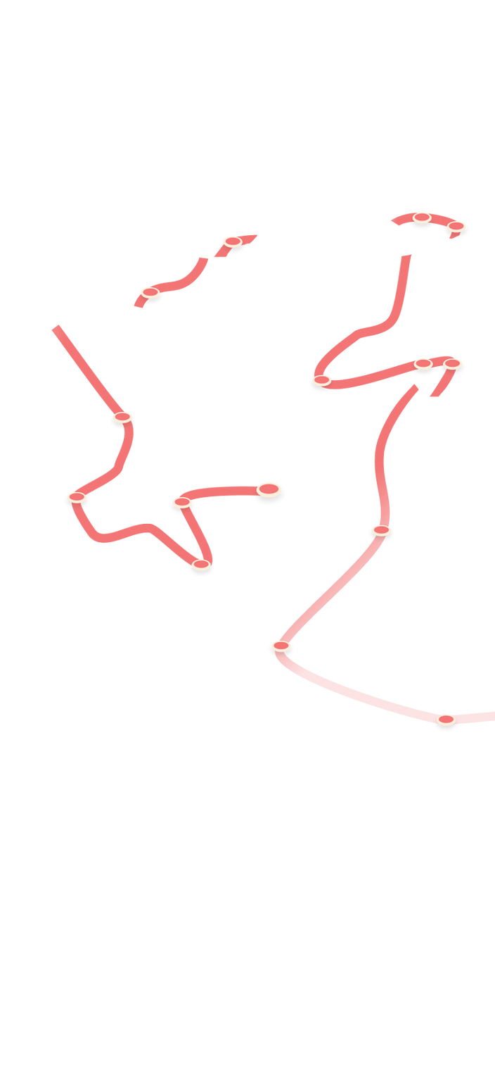 tracking path on world map