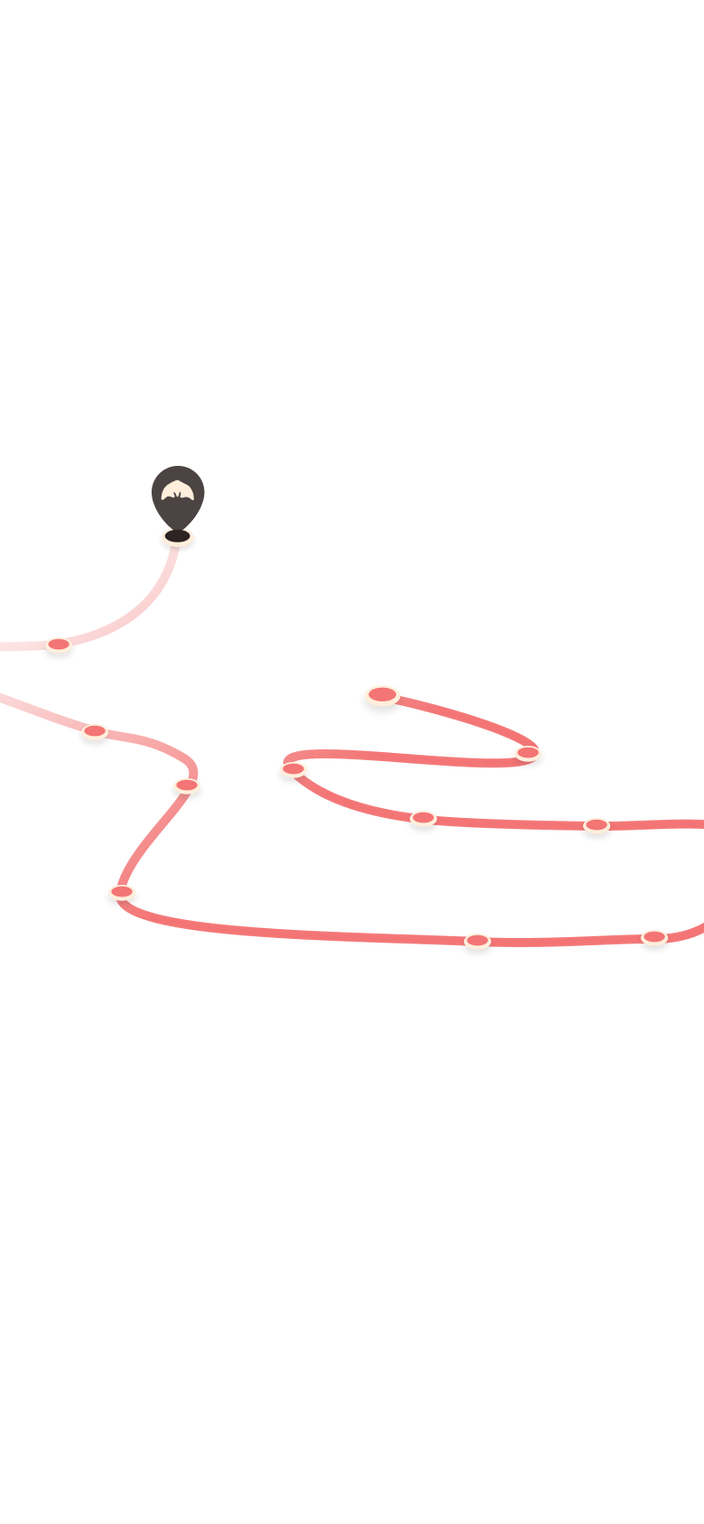 tracking path on world map