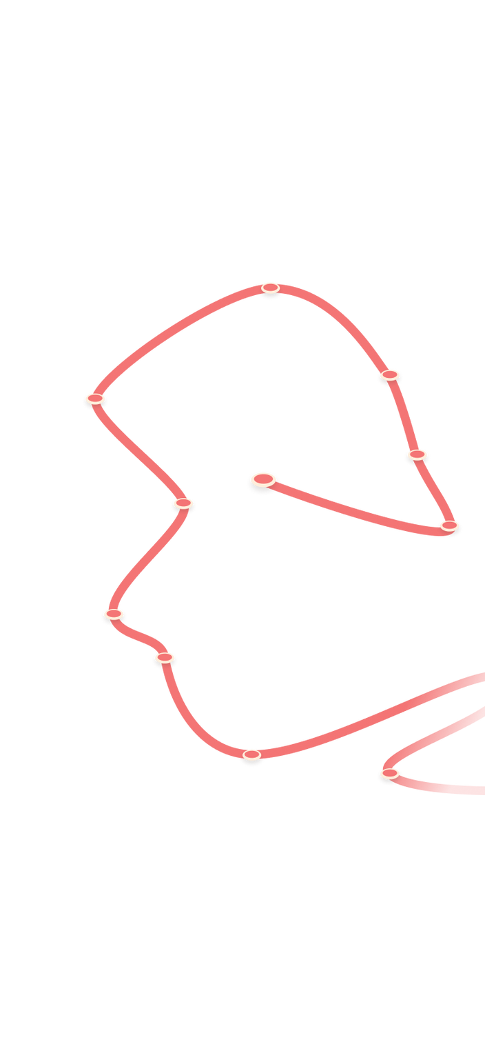 tracking path on world map
