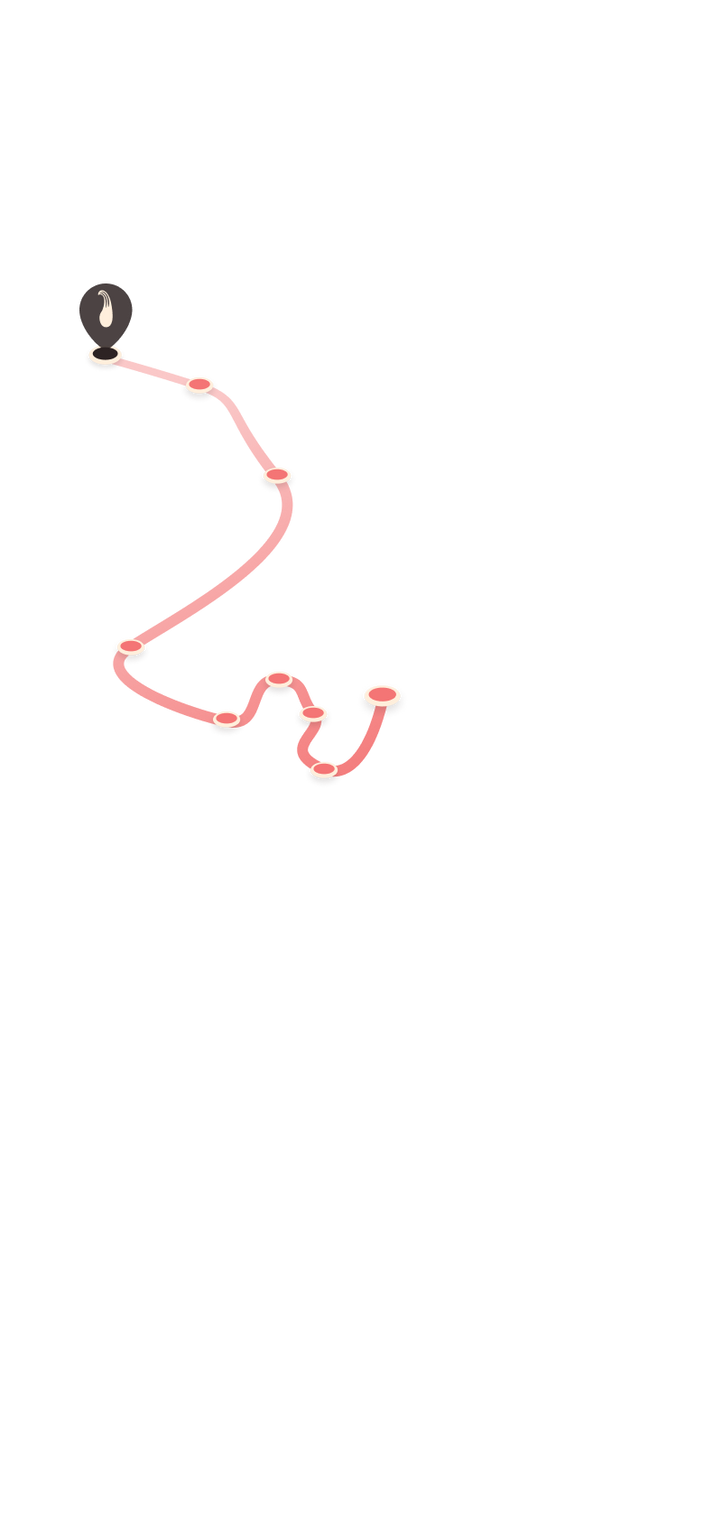 tracking path on world map