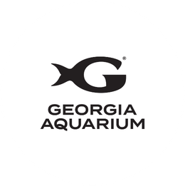 detail caption image four