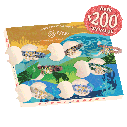 Fahlo Advent Calendar
