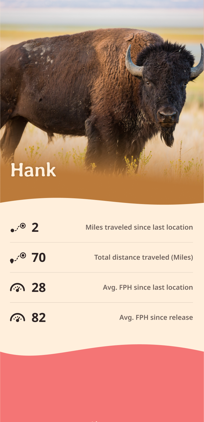 bison app about content body image