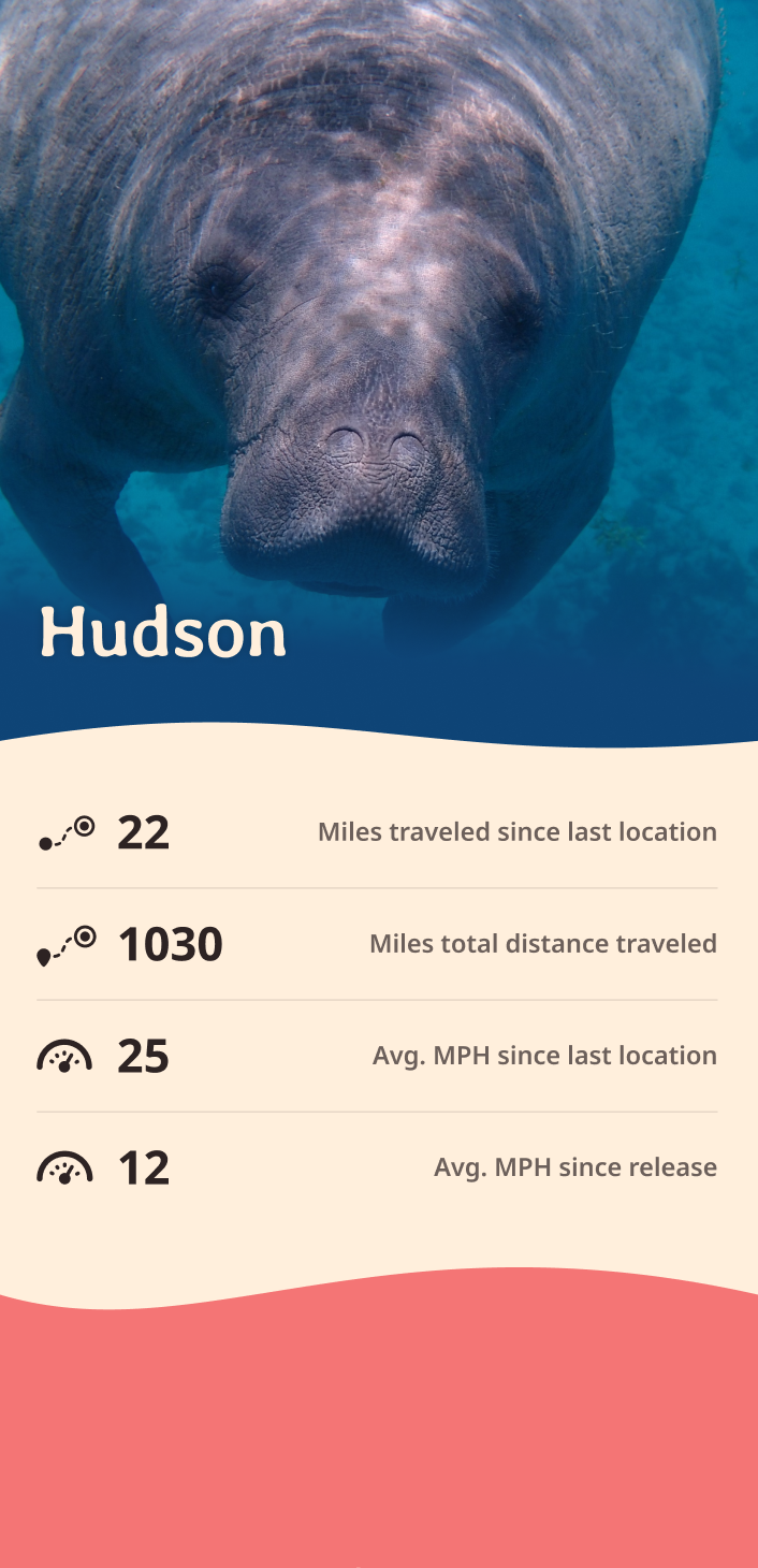 manatee app about content body image