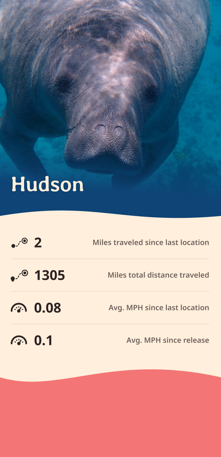 manatee app about content body image