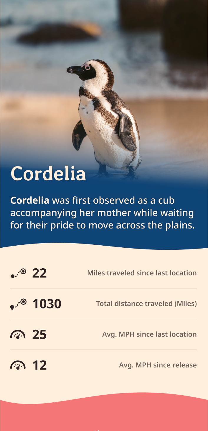 penguin app about content body image