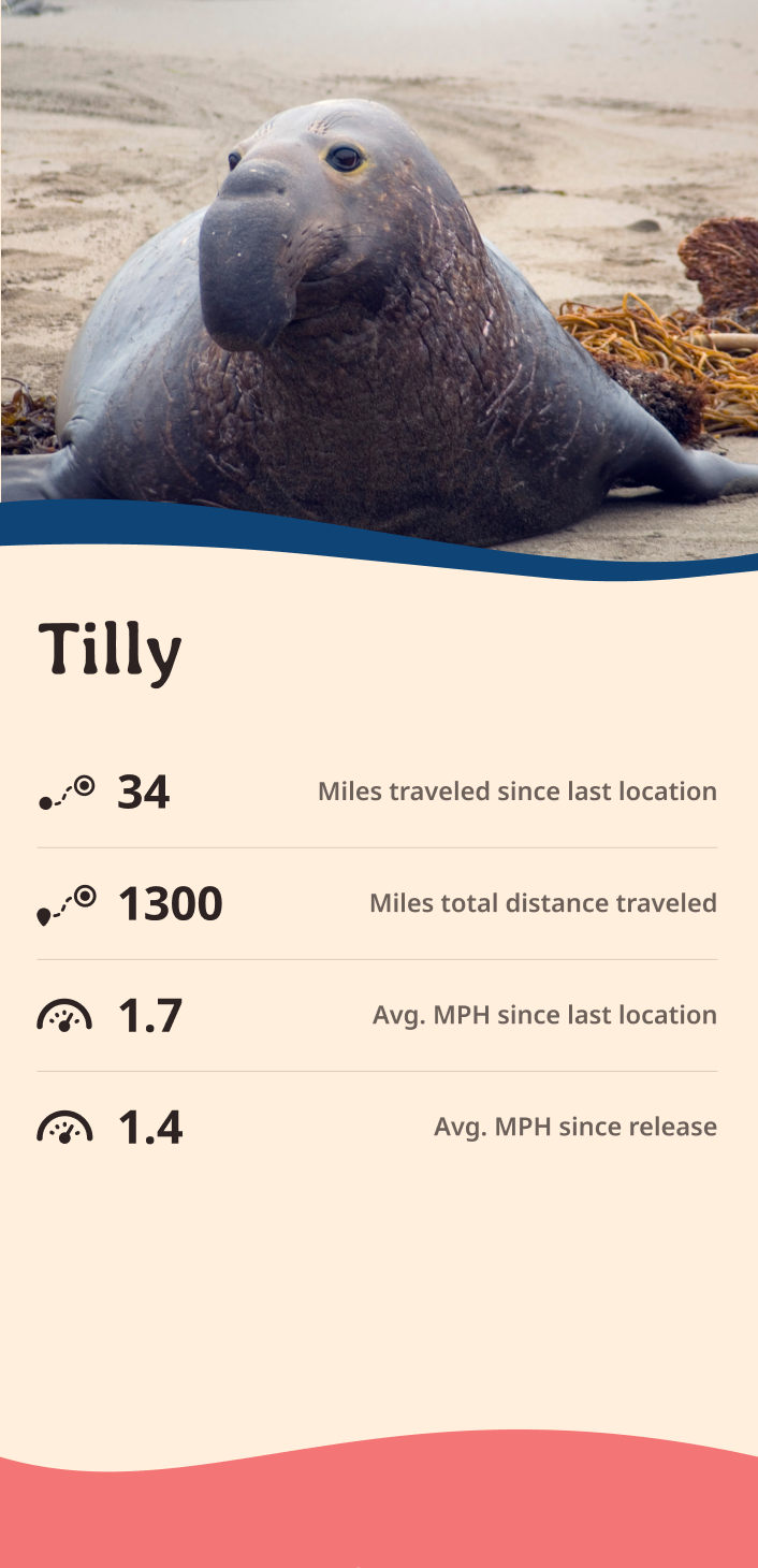 seal app about content body image