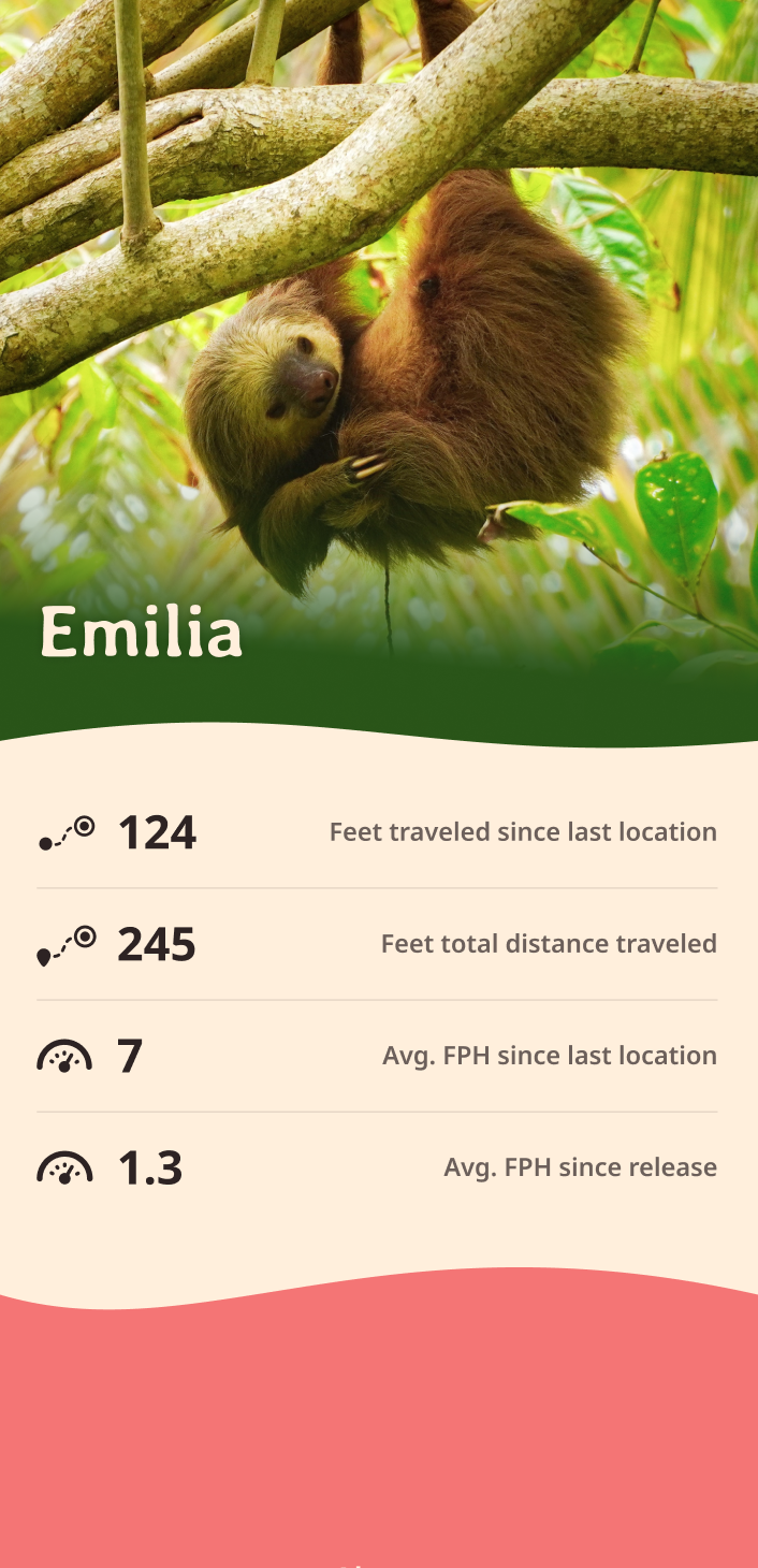 sloth app about content body image