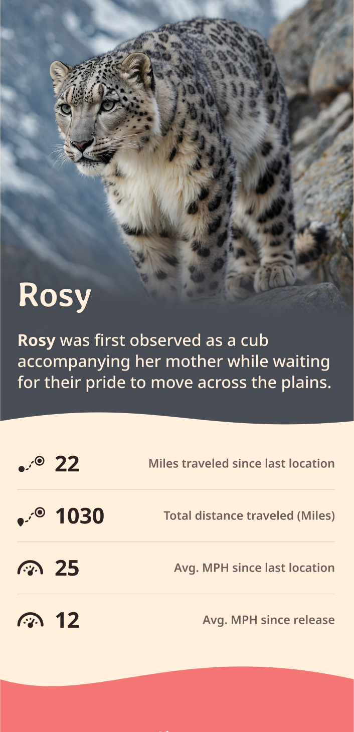 snow-leopard app about content body image