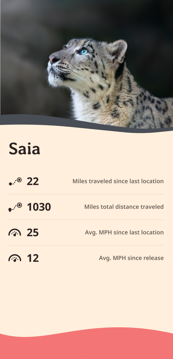 snow-leopard app about content body image