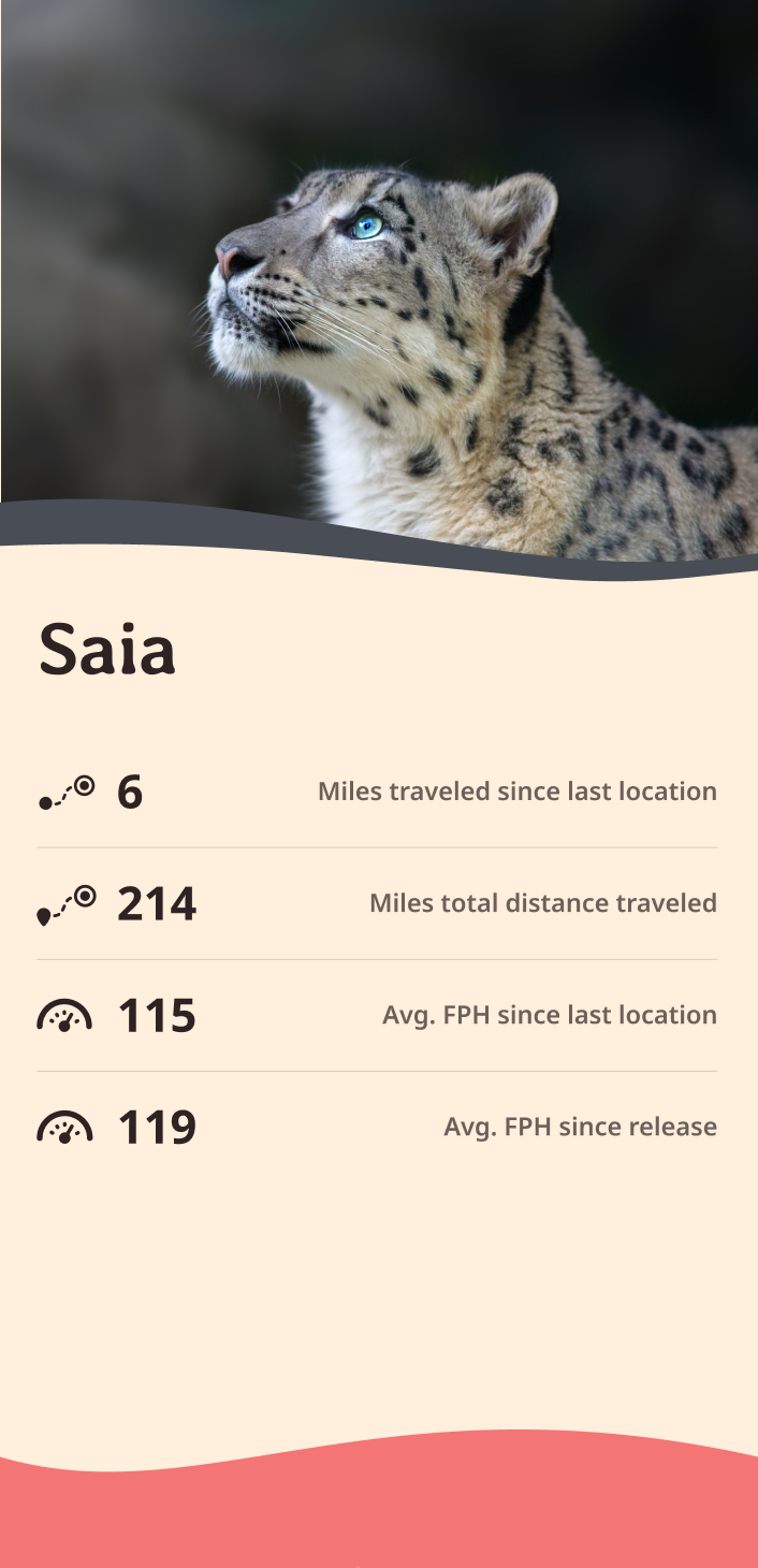 snow-leopard app about content body image