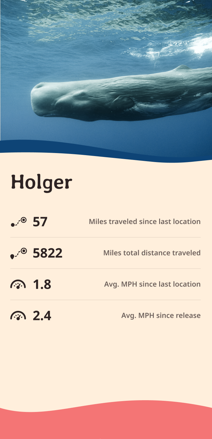 whale app about content body image