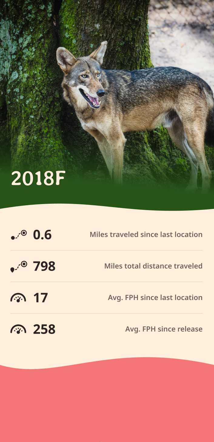 wolf app about content body image