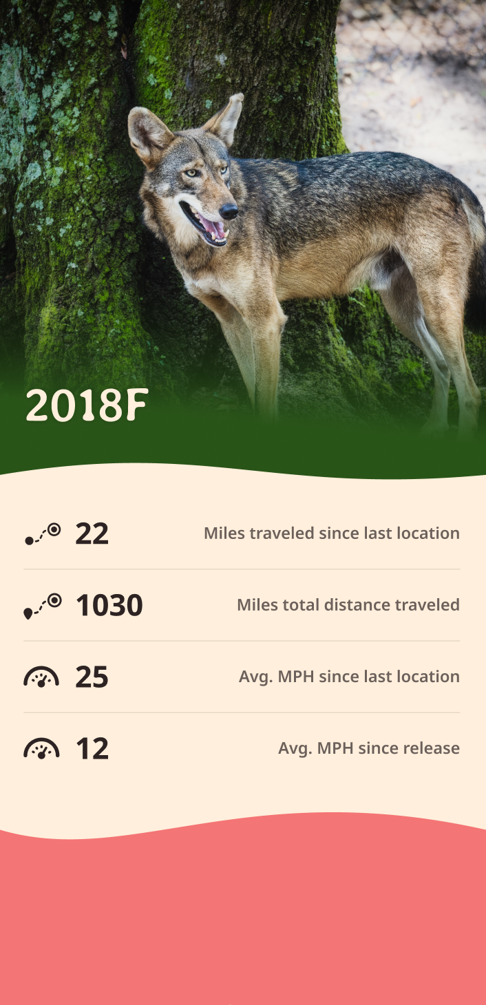 wolf app about content body image