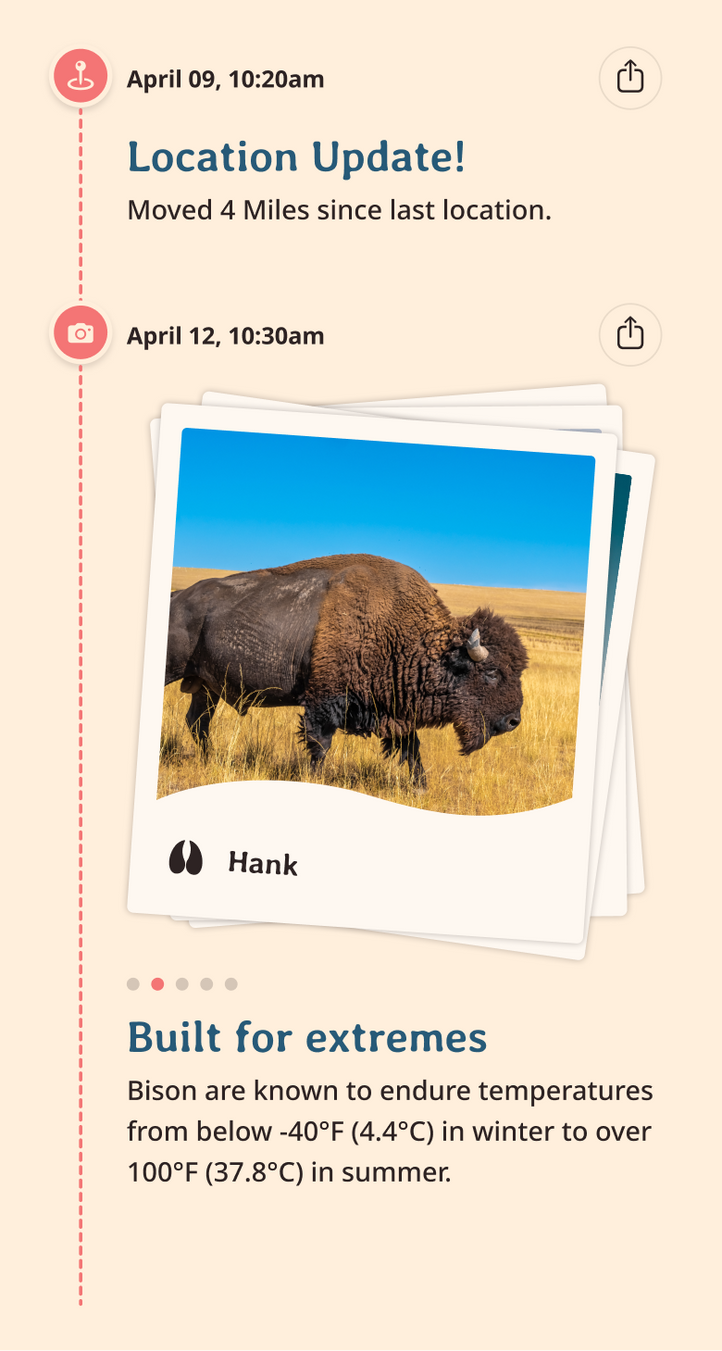 bison app updates content body image