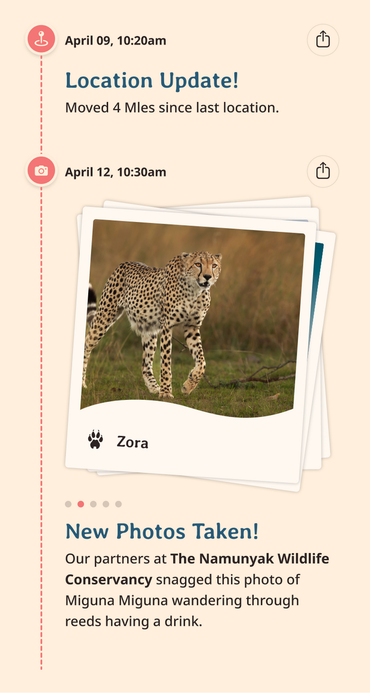 cheetah app updates content body image