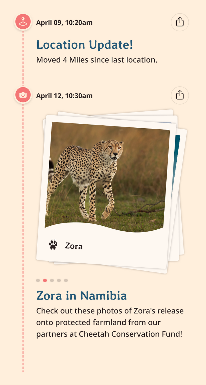 cheetah app updates content body image