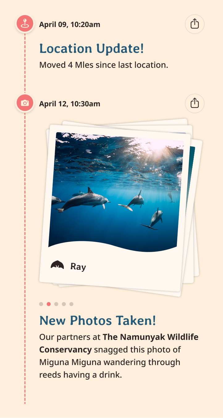 dolphin app updates content body image