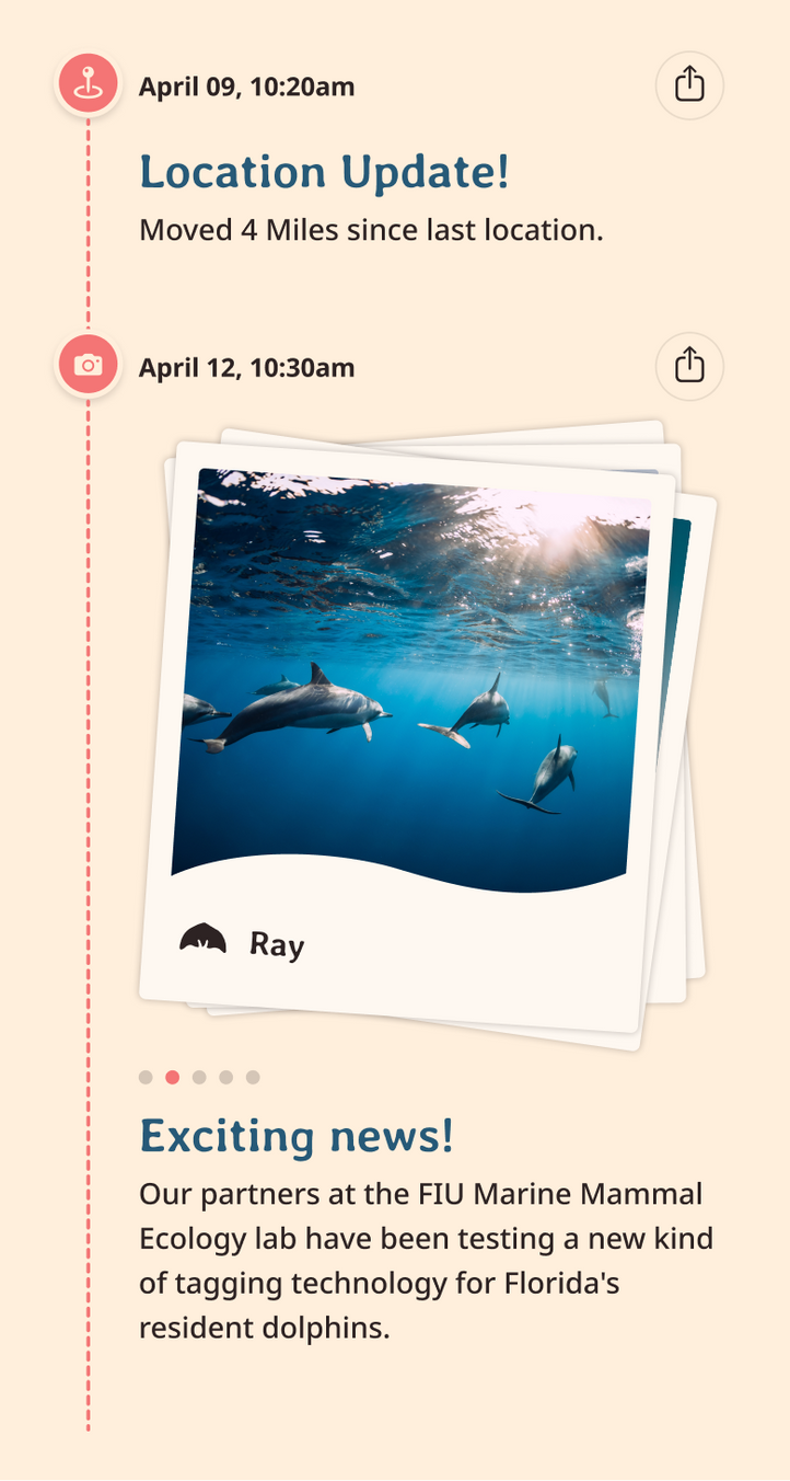 dolphin app updates content body image