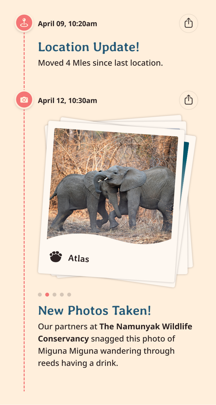 elephant app updates content body image