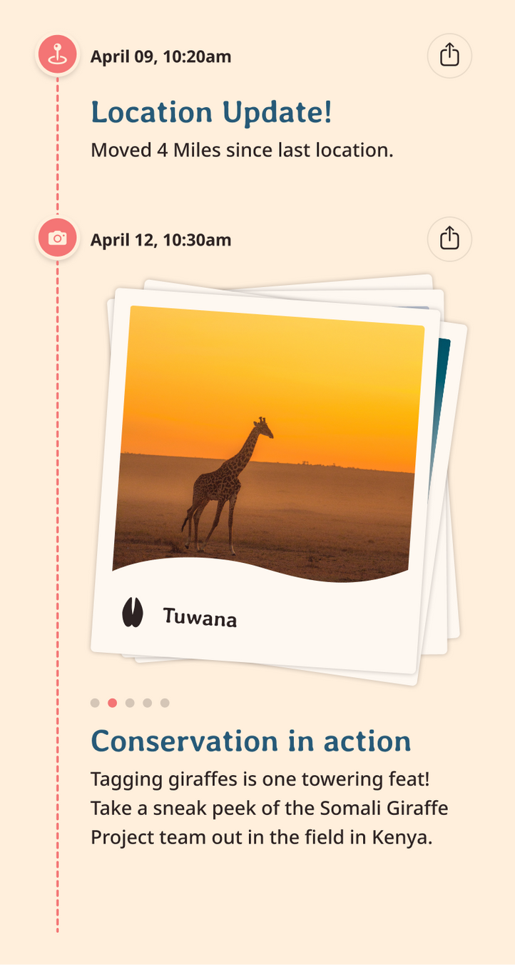 giraffe app updates content body image