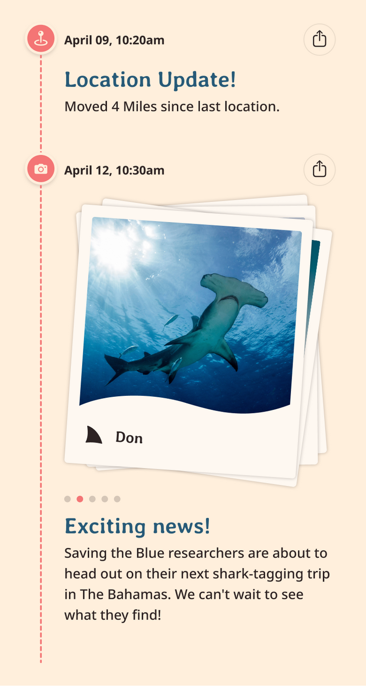 hammerhead app updates content body image