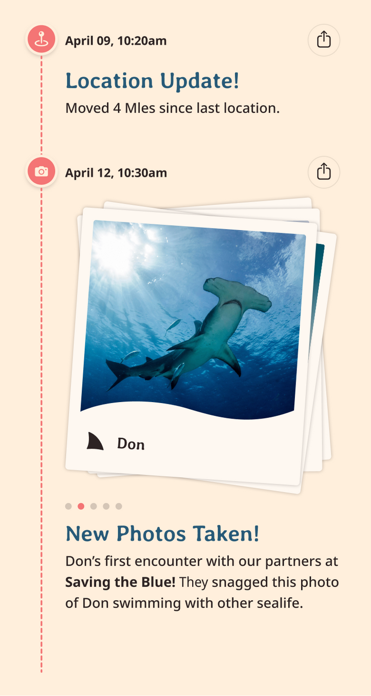 hammerhead app updates content body image