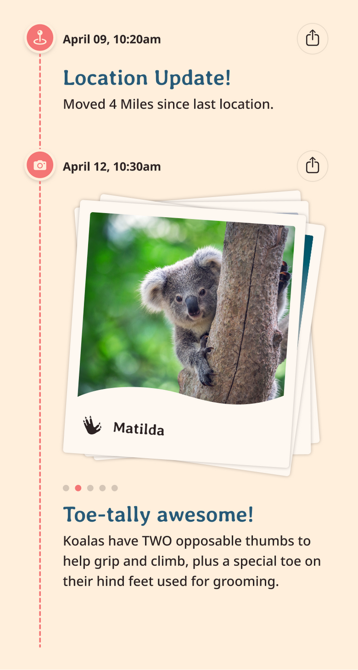 koala app updates content body image