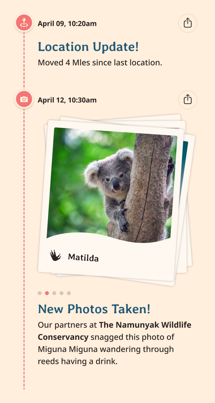 koala app updates content body image