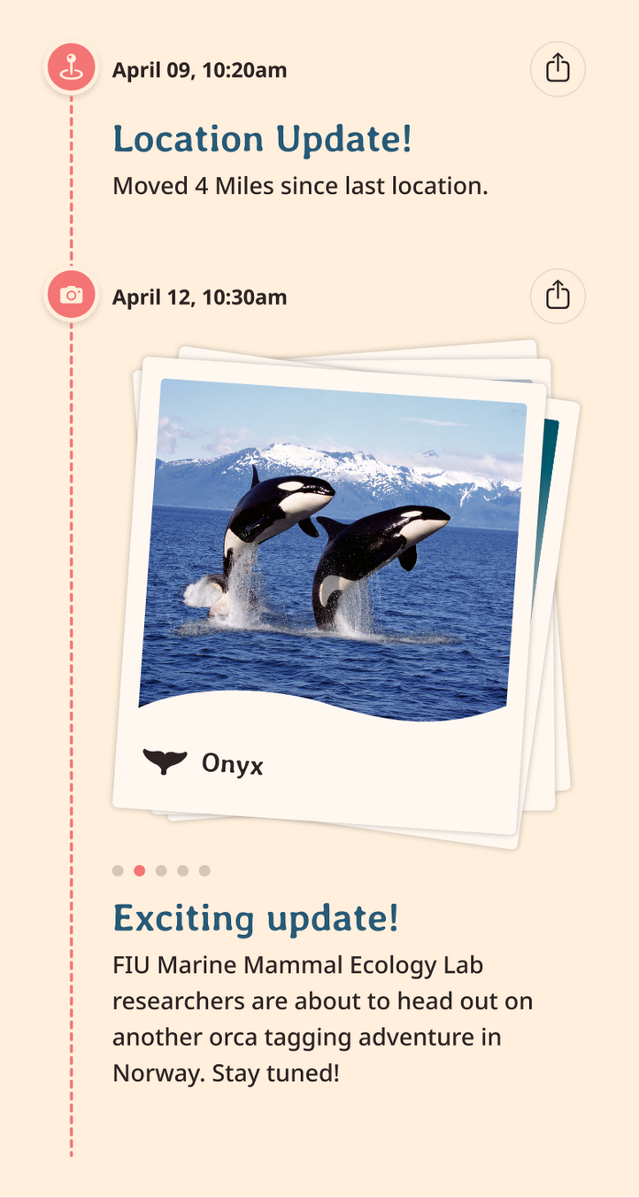 orca app updates content body image