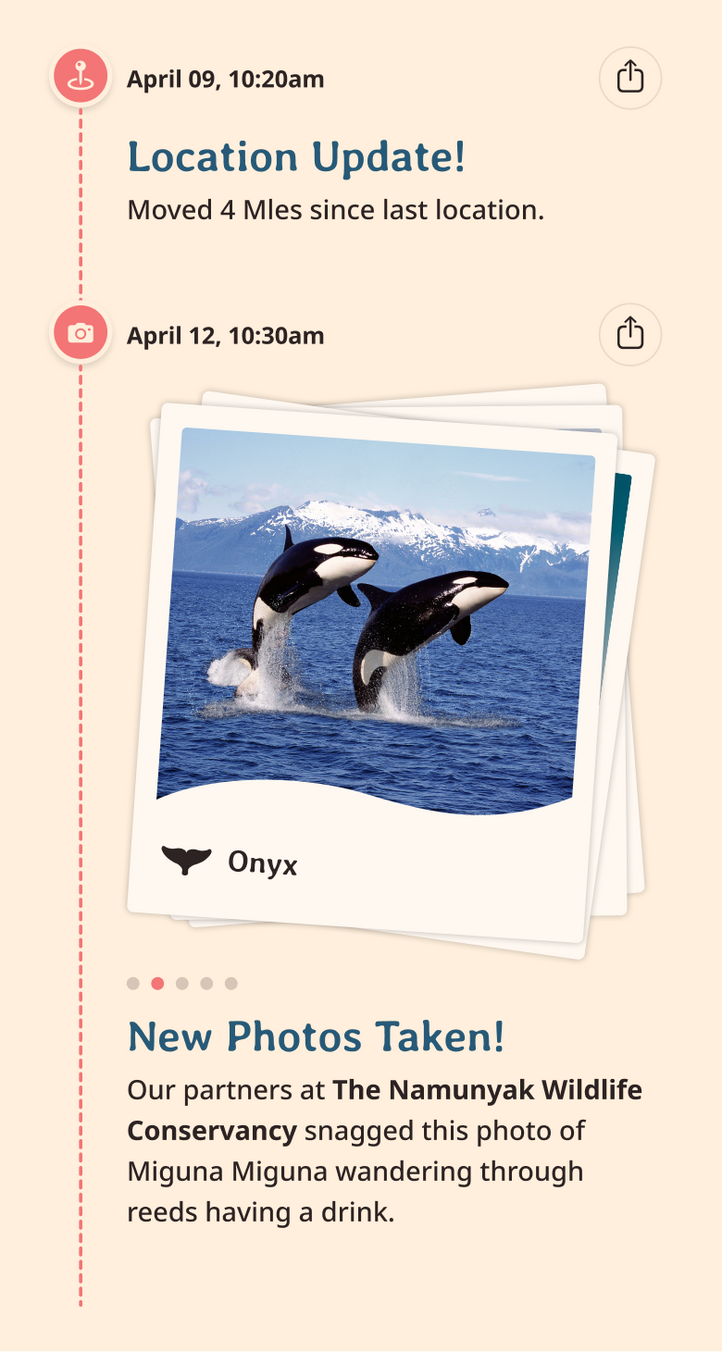 orca app updates content body image