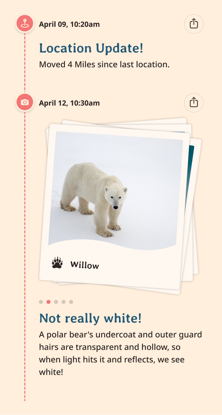 polar bear app updates content body image