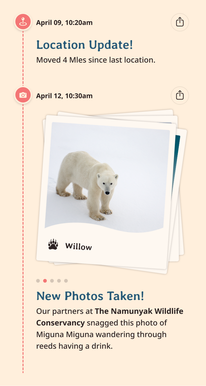 polar bear app updates content body image