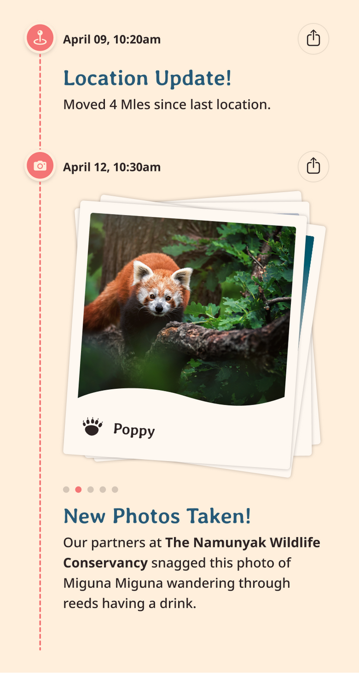 red-panda app updates content body image