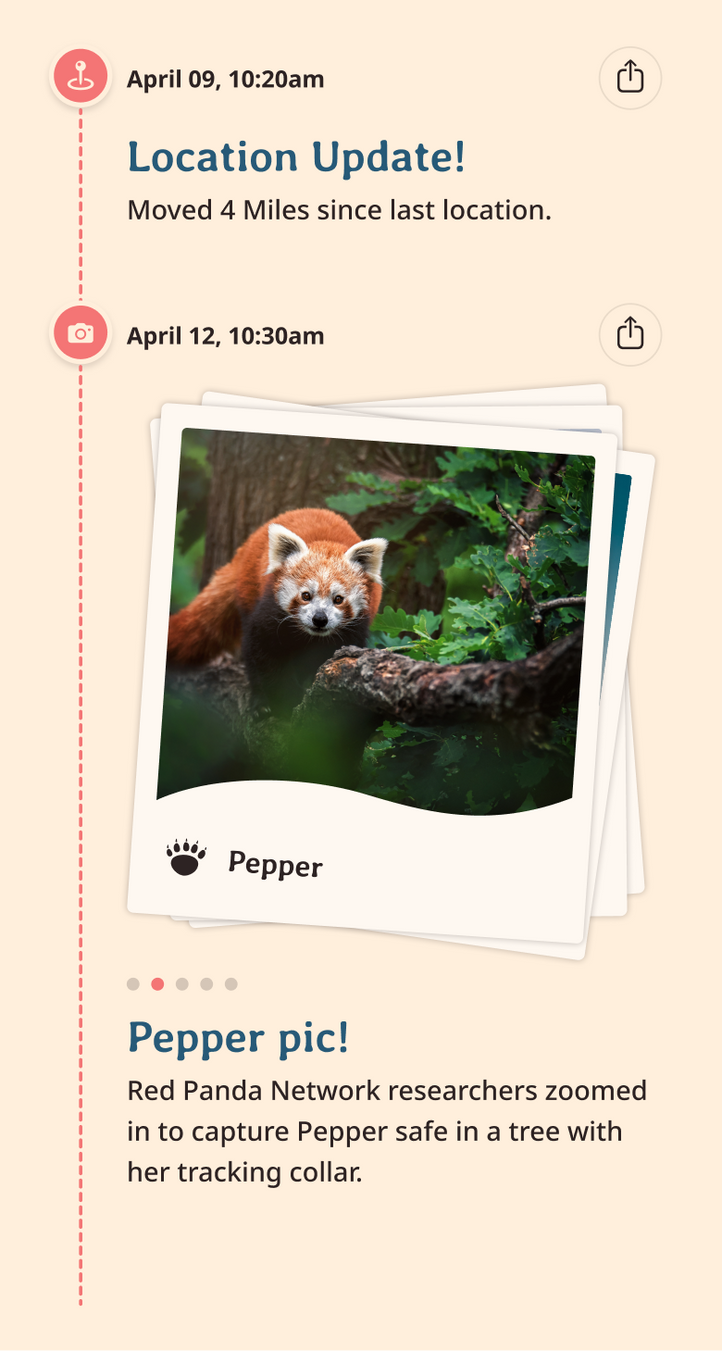 red-panda app updates content body image