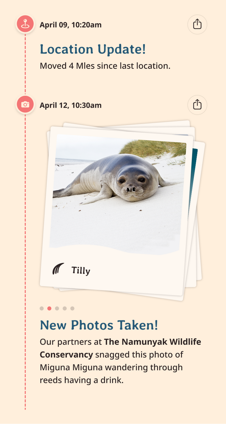 seal app updates content body image