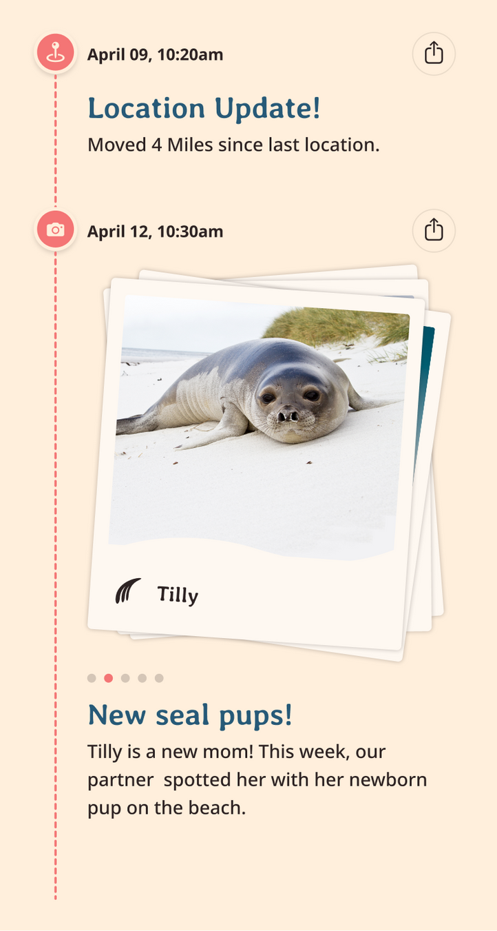 seal app updates content body image