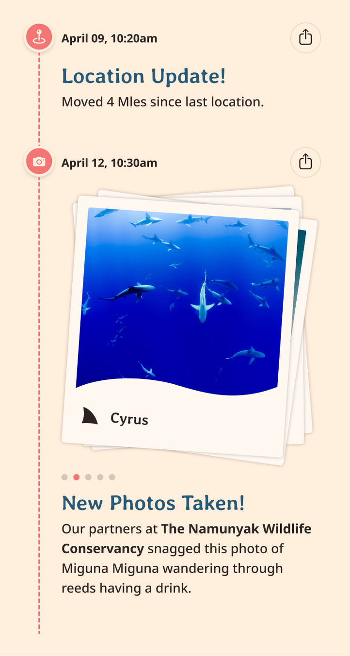 shark app updates content body image
