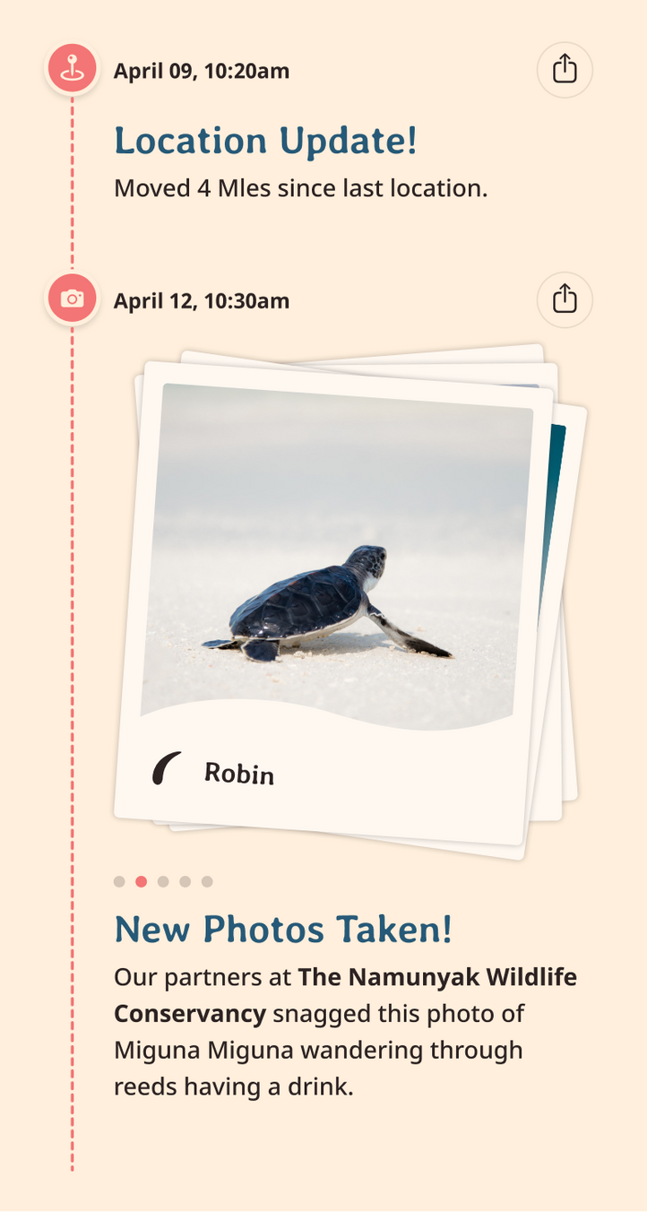 turtle app updates content body image