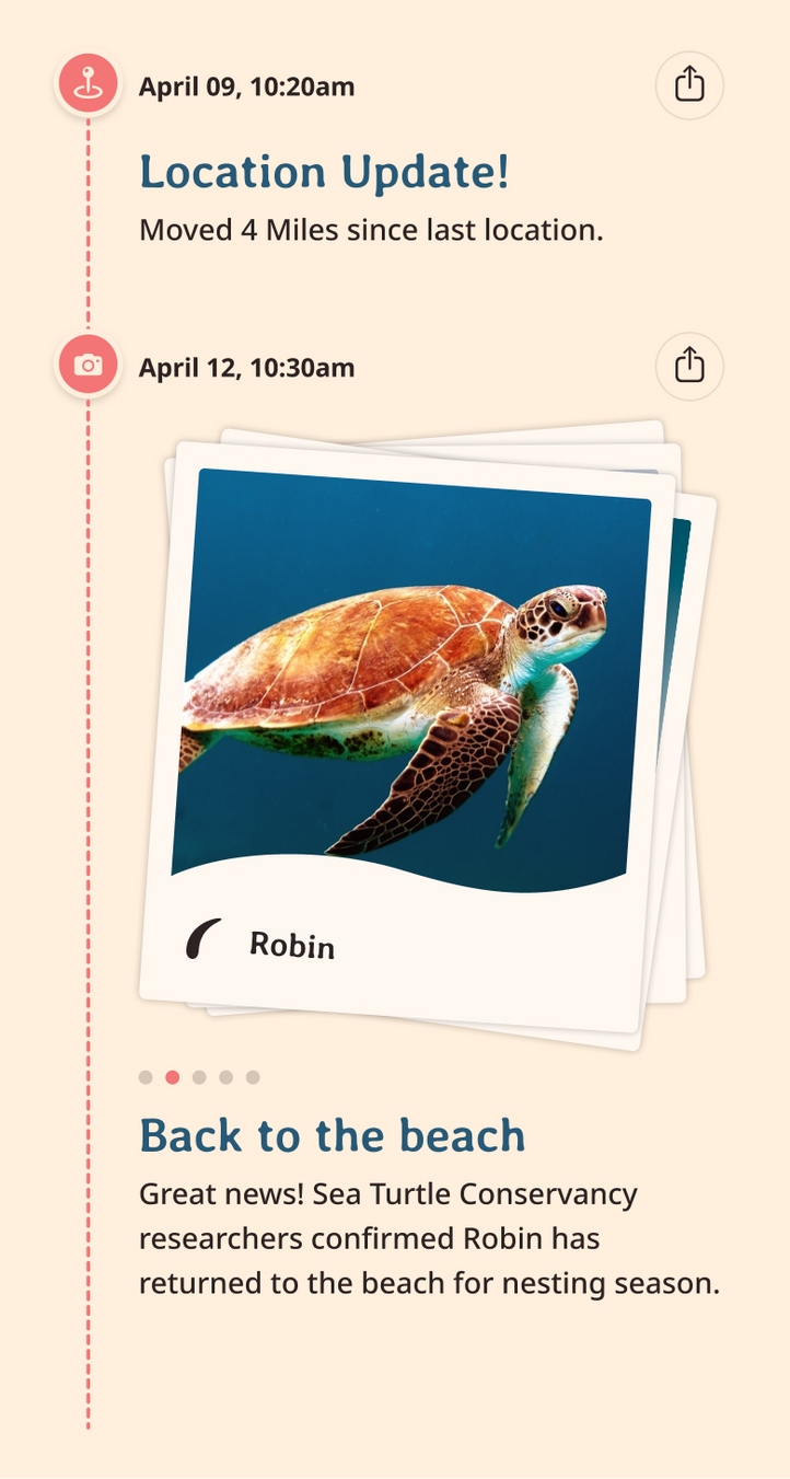 turtle app updates content body image