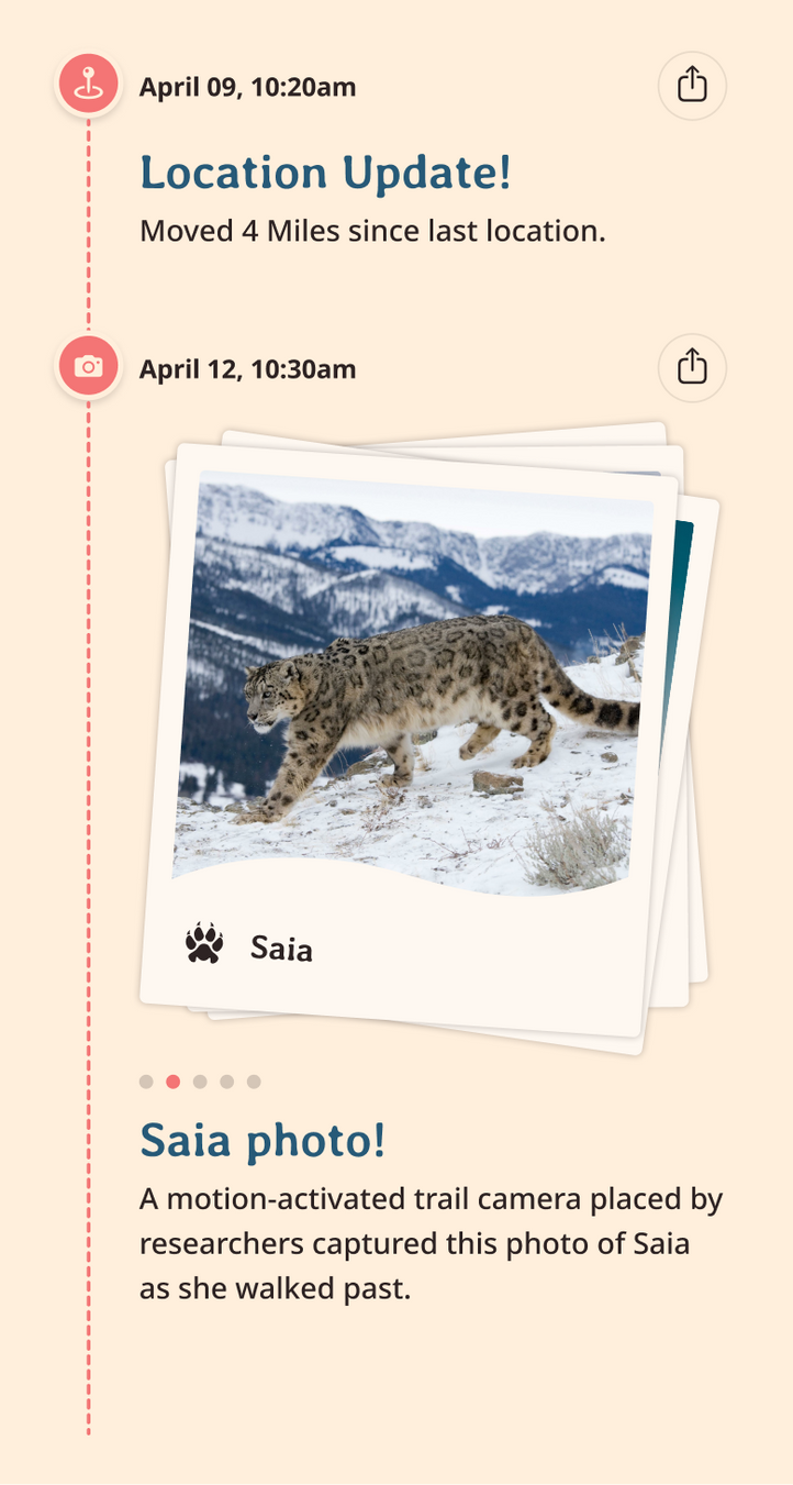 snow-leopard app updates content body image