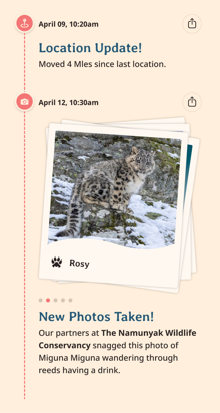 snow-leopard app updates content body image