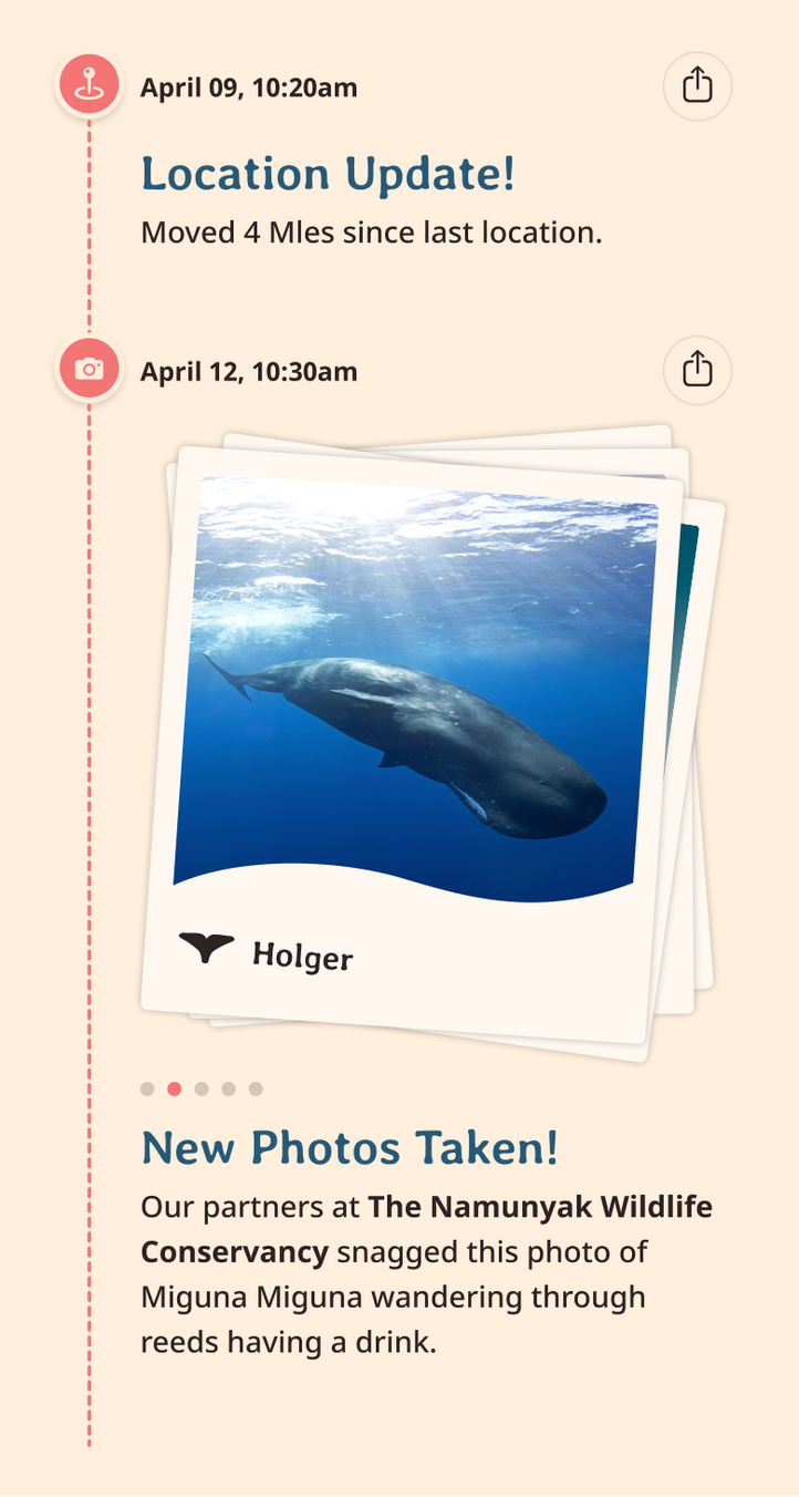 whale app updates content body image