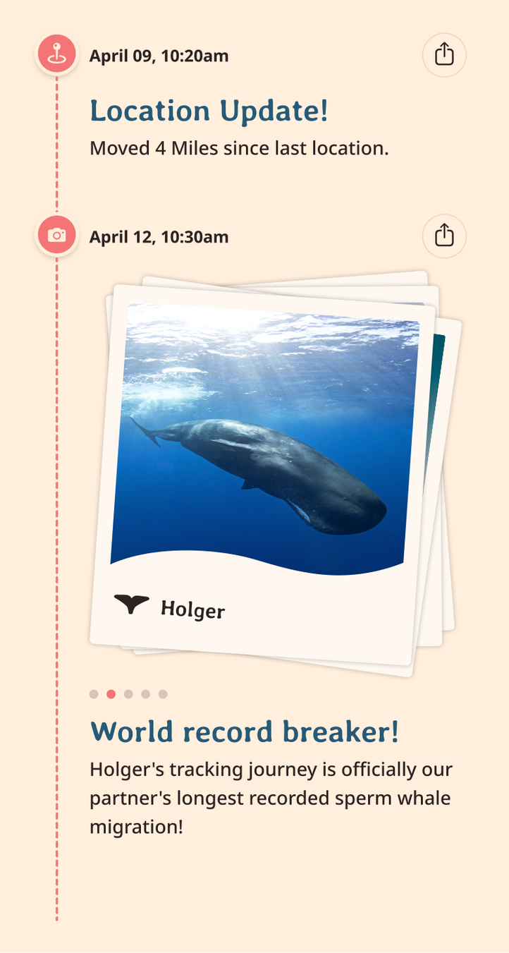 whale app updates content body image