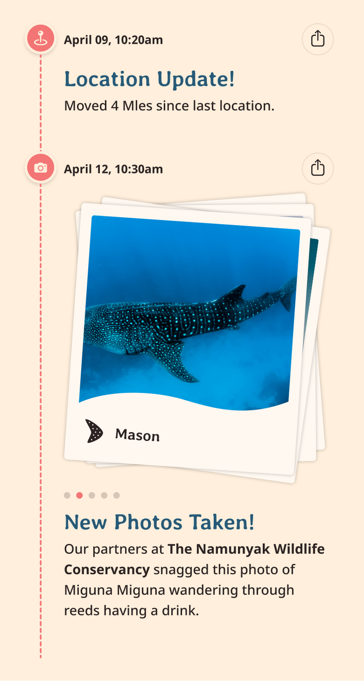 whale-shark app updates content body image