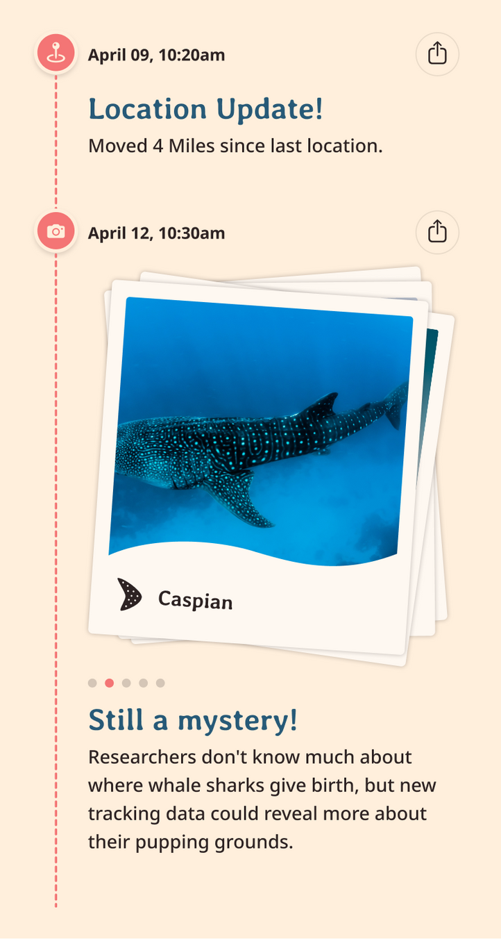 whale-shark app updates content body image