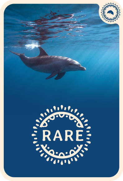 fahlo tracking card