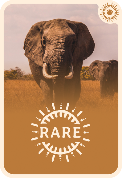 fahlo tracking card